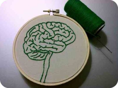 How (and Why) to Donate Your Brain to Science Image